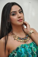 Angana Roy Gallery